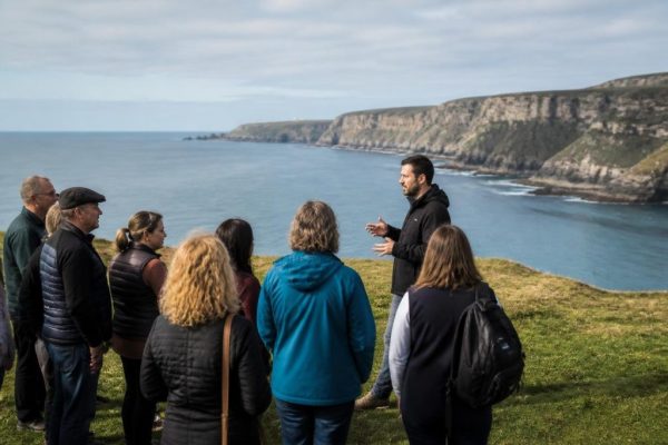 Small Group Irish Tours: Your Complete 2026 Guide